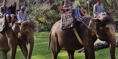 Home-Mason-Adventures-Elephant-Safari-Ride